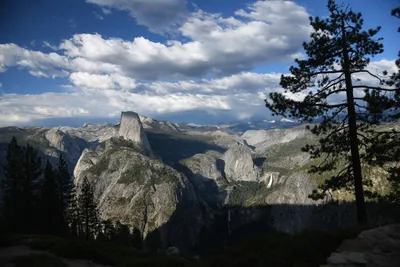 DSC_4185 (Large).JPG